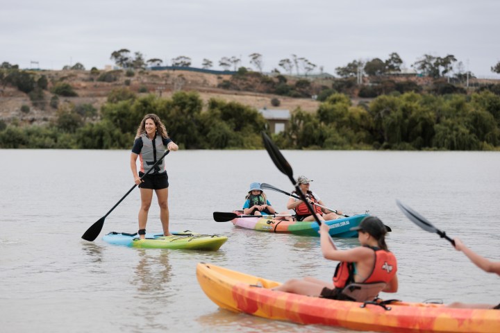 Group kayaking on a calm river with trees in the background.